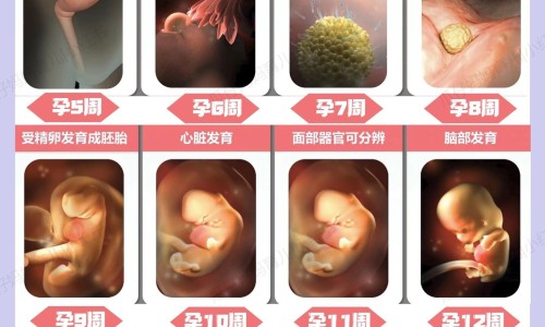 50岁女人喝燕窝的功效-专业50岁女人喝燕窝的功效与禁忌平台-50多岁吃燕窝还有用吗